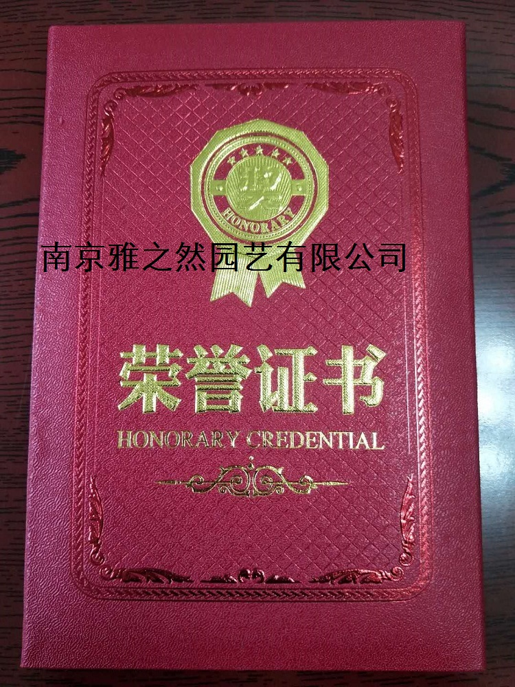 榮譽資質